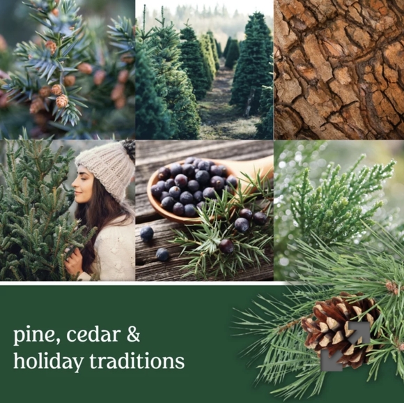 Yankee Candle Christmas Cookie Meltcup and Balsam & Cedar Scentplug Refill - Picture 2 of 5